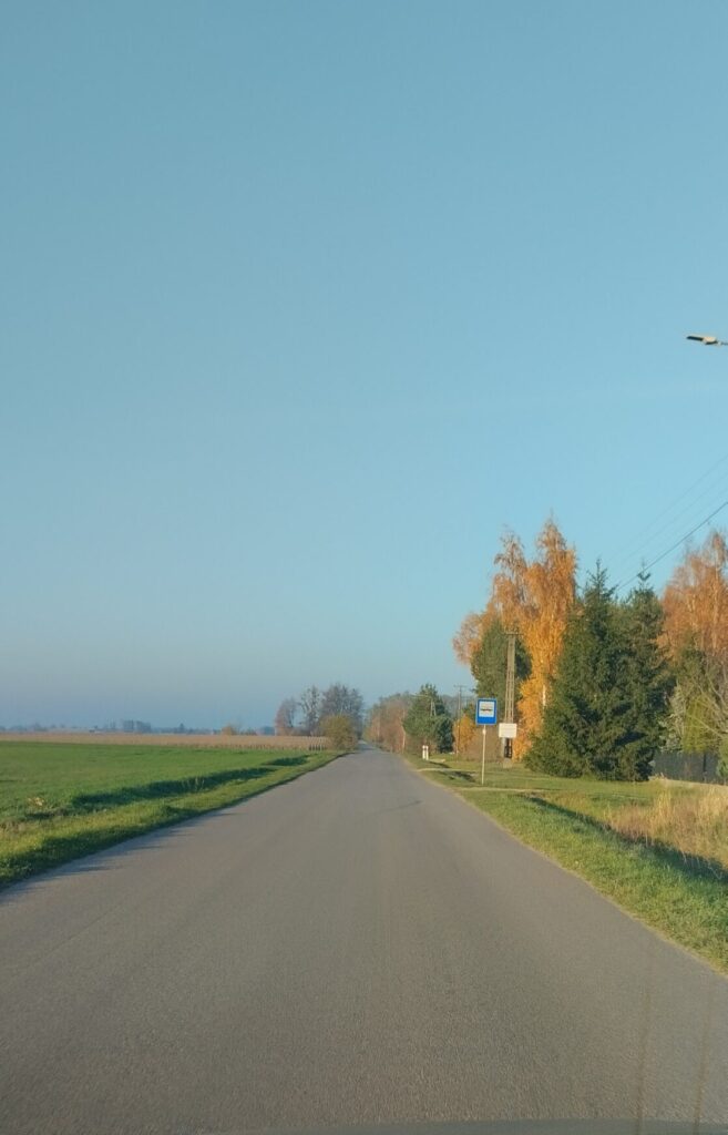 老海 - 波兰IT专家